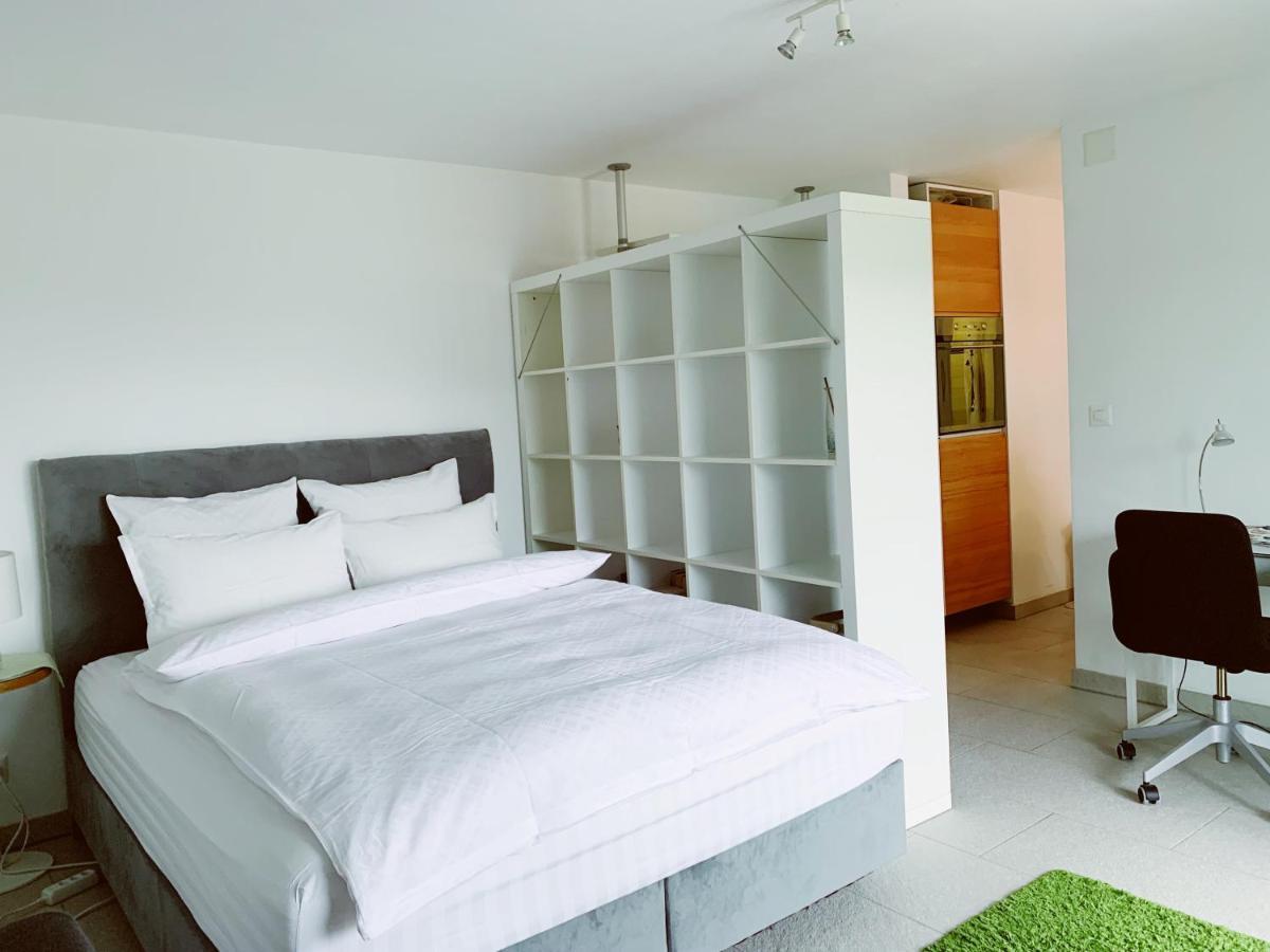 N1 Standalone House Baden Apartment Hertenstein Bagian luar foto