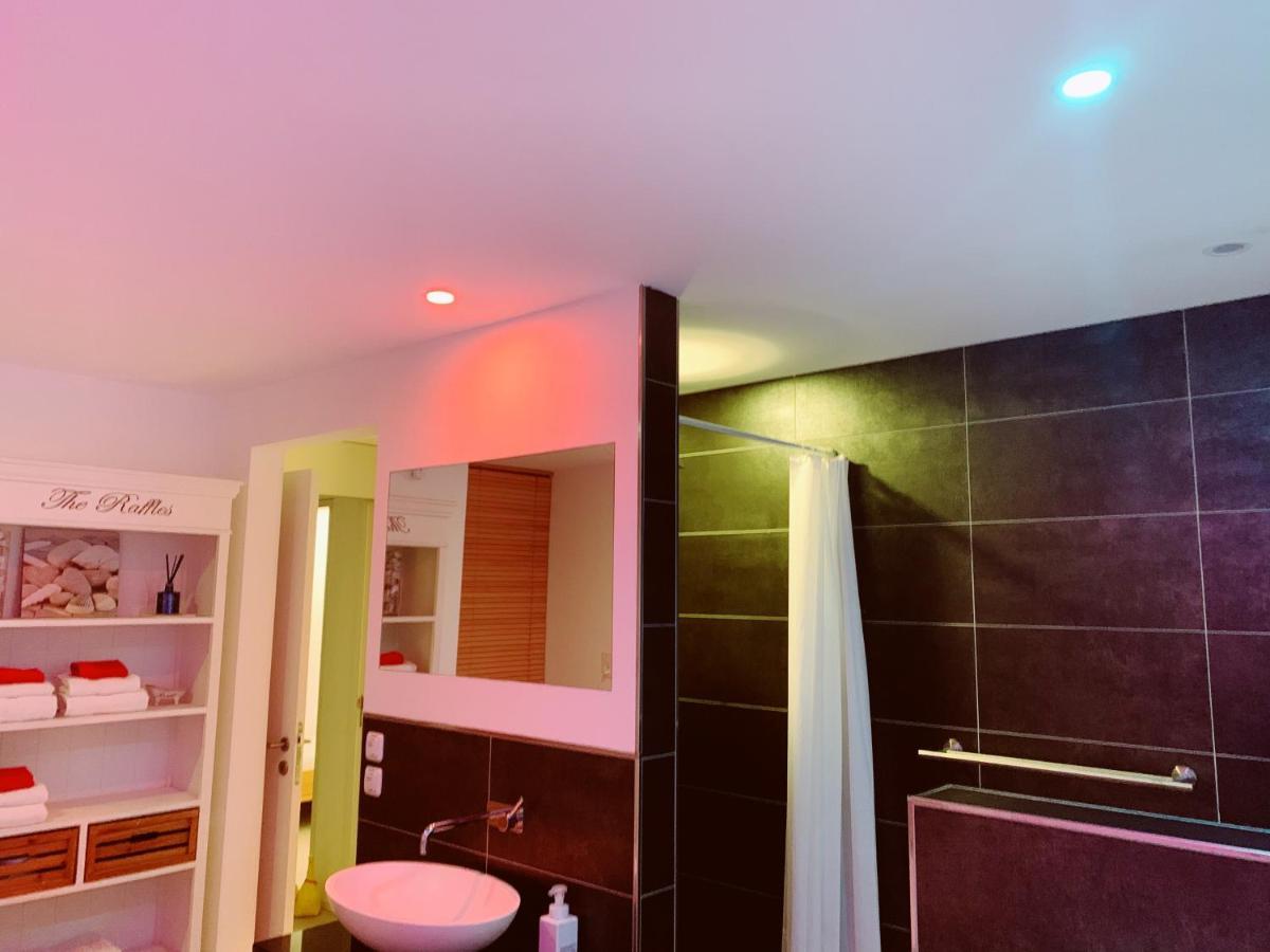 N1 Standalone House Baden Apartment Hertenstein Bagian luar foto