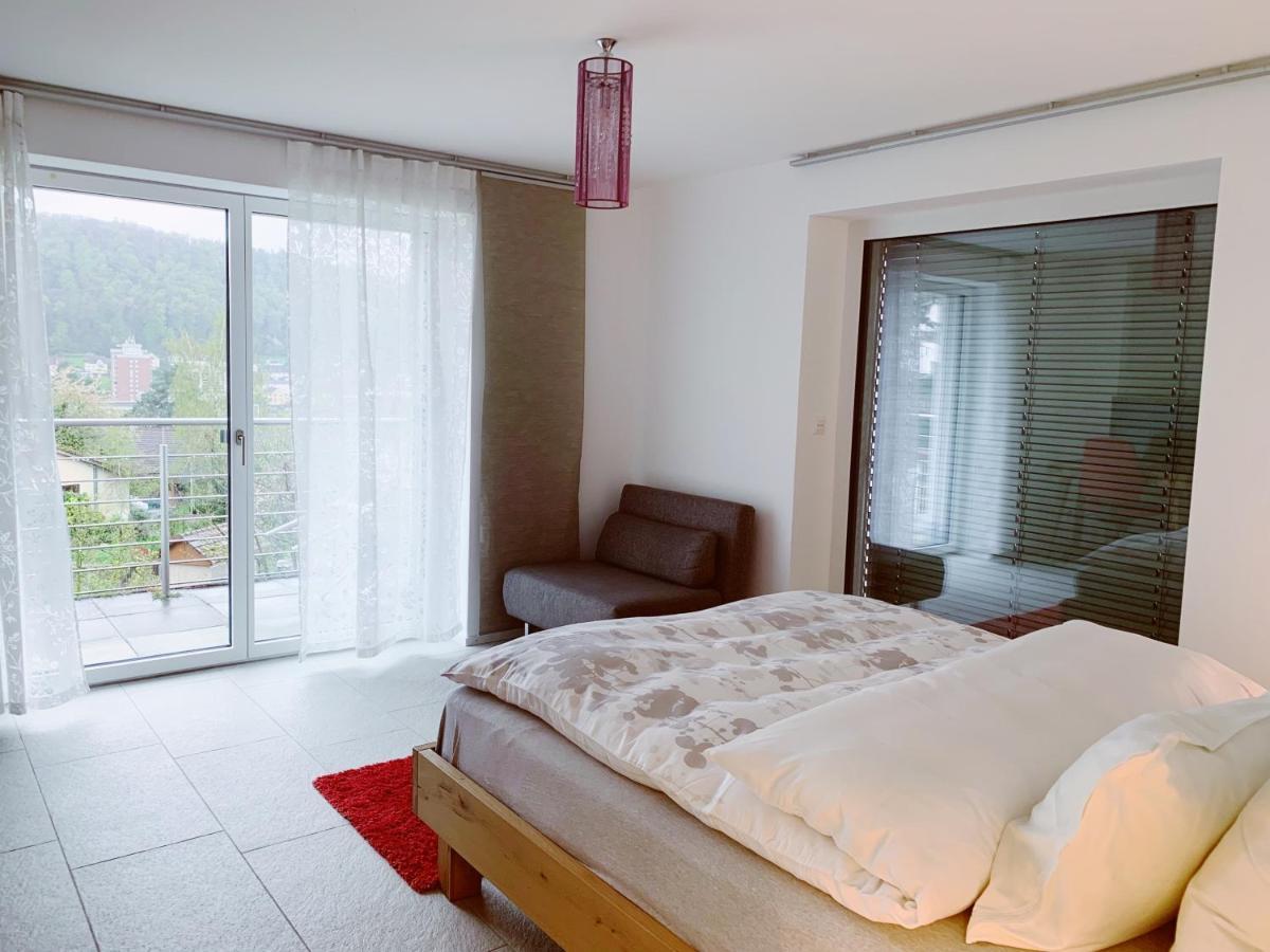 N1 Standalone House Baden Apartment Hertenstein Bagian luar foto