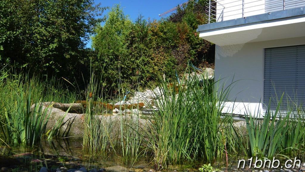 N1 Standalone House Baden Apartment Hertenstein Bagian luar foto