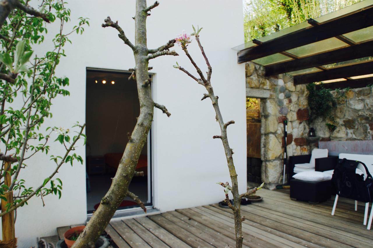 N1 Standalone House Baden Apartment Hertenstein Bagian luar foto